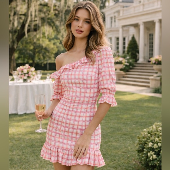 REVOLVE Dresses & Skirts - Revolve ATOIR Esmeray Dress | Pink Gingham One Shoulder Ruffle Mini Dress